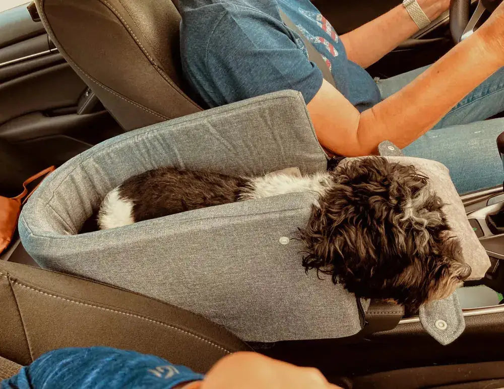 Pet Safety Seat