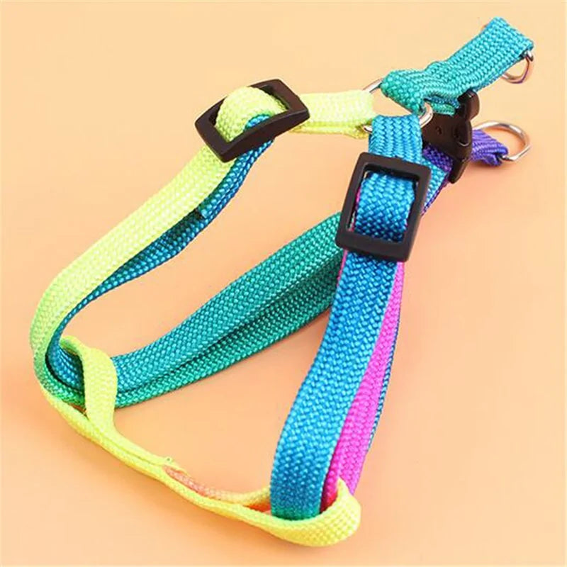 Colorful Adjustable Pet Leash